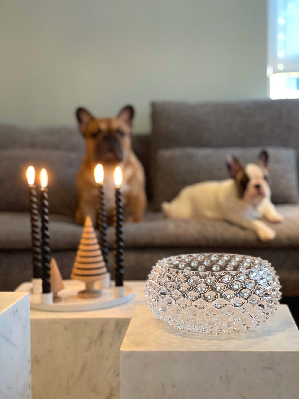 Posoda za sadje | prozorna